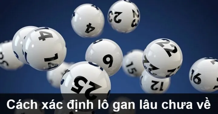 Làm thế nào để xác định lô gan lâu chưa về?